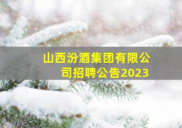 山西汾酒集团有限公司招聘公告2023