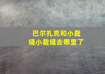 巴尔扎克和小裁缝小裁缝去哪里了