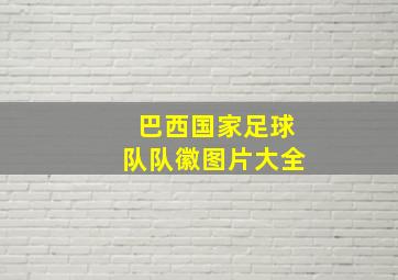 巴西国家足球队队徽图片大全