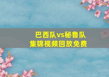 巴西队vs秘鲁队集锦视频回放免费