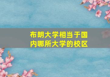 布朗大学相当于国内哪所大学的校区