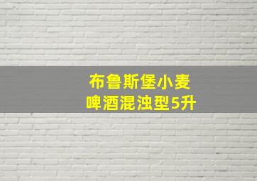 布鲁斯堡小麦啤酒混浊型5升