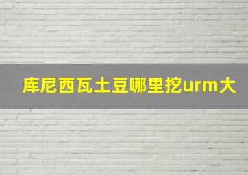 库尼西瓦土豆哪里挖urm大