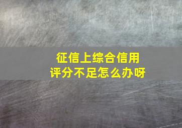 征信上综合信用评分不足怎么办呀