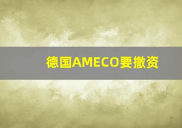 德国AMECO要撤资