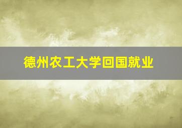 德州农工大学回国就业