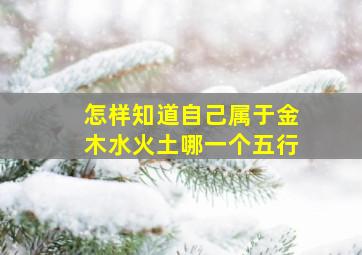 怎样知道自己属于金木水火土哪一个五行