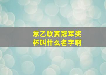 意乙联赛冠军奖杯叫什么名字啊