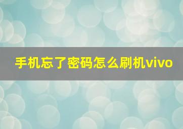 手机忘了密码怎么刷机vivo