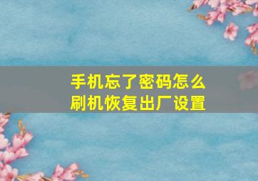 手机忘了密码怎么刷机恢复出厂设置