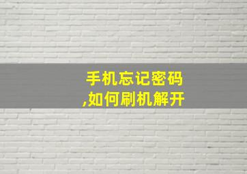 手机忘记密码,如何刷机解开