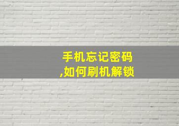 手机忘记密码,如何刷机解锁