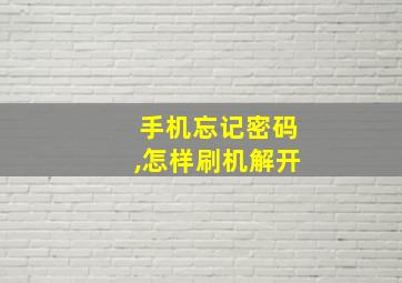 手机忘记密码,怎样刷机解开