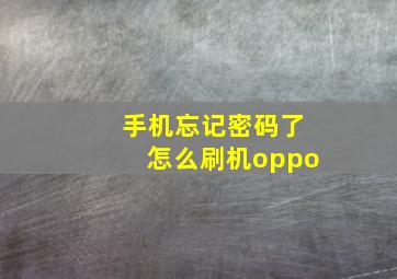 手机忘记密码了怎么刷机oppo