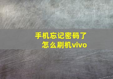 手机忘记密码了怎么刷机vivo