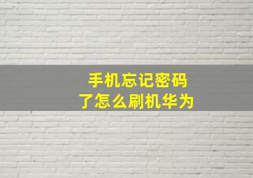 手机忘记密码了怎么刷机华为