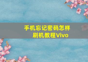 手机忘记密码怎样刷机教程Vivo