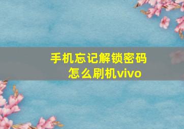 手机忘记解锁密码怎么刷机vivo