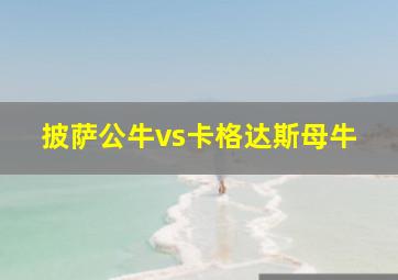 披萨公牛vs卡格达斯母牛