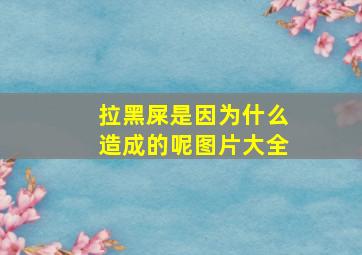 拉黑屎是因为什么造成的呢图片大全