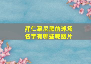 拜仁慕尼黑的球场名字有哪些呢图片