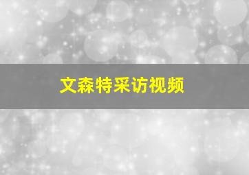 文森特采访视频