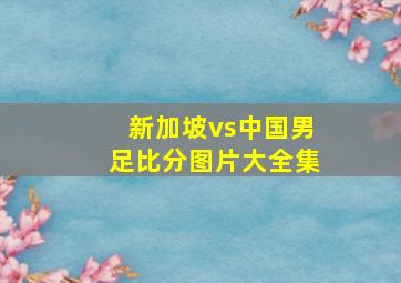 新加坡vs中国男足比分图片大全集