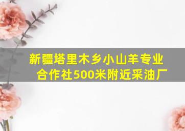 新疆塔里木乡小山羊专业合作社500米附近采油厂