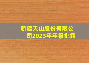 新疆天山股份有限公司2023年年报批露