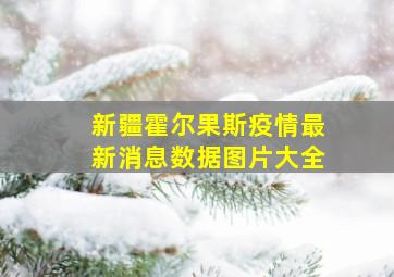 新疆霍尔果斯疫情最新消息数据图片大全