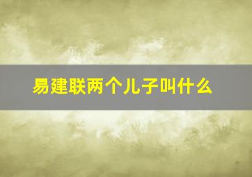 易建联两个儿子叫什么