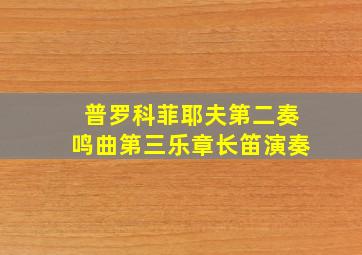 普罗科菲耶夫第二奏鸣曲第三乐章长笛演奏