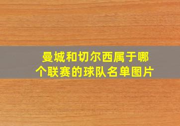 曼城和切尔西属于哪个联赛的球队名单图片