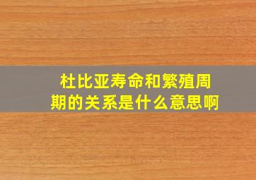 杜比亚寿命和繁殖周期的关系是什么意思啊