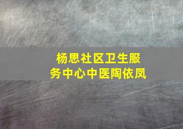 杨思社区卫生服务中心中医陶依凤