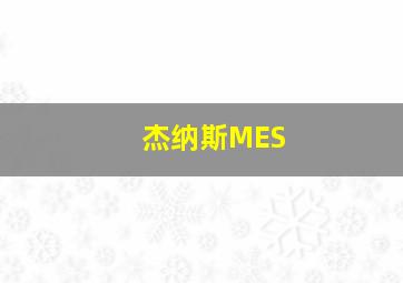 杰纳斯MES