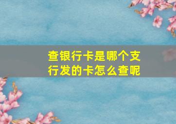 查银行卡是哪个支行发的卡怎么查呢