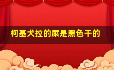 柯基犬拉的屎是黑色干的