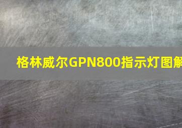 格林威尔GPN800指示灯图解