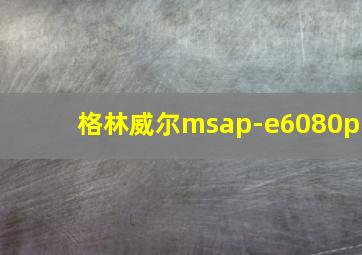 格林威尔msap-e6080p