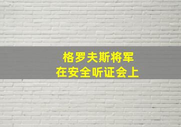 格罗夫斯将军在安全听证会上