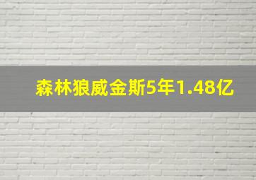 森林狼威金斯5年1.48亿