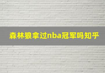 森林狼拿过nba冠军吗知乎