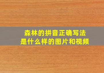 森林的拼音正确写法是什么样的图片和视频