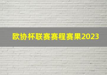 欧协杯联赛赛程赛果2023