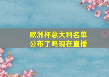 欧洲杯意大利名单公布了吗现在直播