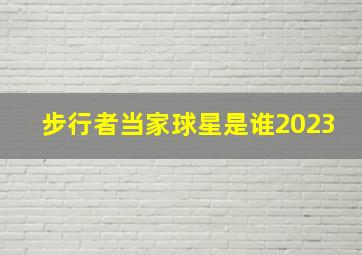 步行者当家球星是谁2023