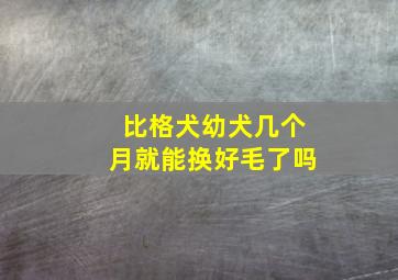 比格犬幼犬几个月就能换好毛了吗