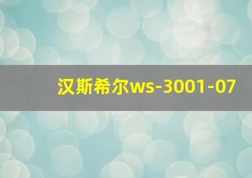 汉斯希尔ws-3001-07