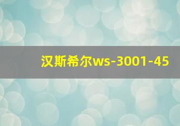 汉斯希尔ws-3001-45